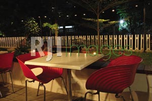 indie cology cafe and boutique