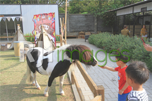 Feeding menjadi wahana favorit bagi anak-anak