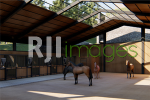 Inspirasi Desain OASIS CAFÉ