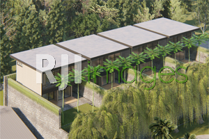 Inspirasi Desain OASIS CAFÉ