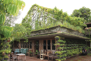 Inspirasi : Taman Vertikal