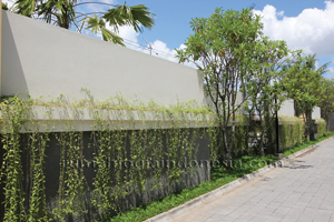 Inspirasi : Taman Vertikal