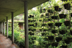 Inspirasi : Taman Vertikal