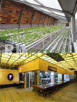 Greenhost Boutique Hotel