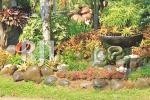 Kebon's Agro Jogja