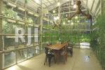 Mezzanine Eatery and Coffee