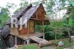 Rimbono Homestay