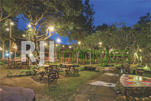 Area taman dengan table set kayu bernuansa natural