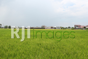 Perijinan & Pengendalian PERUMAHAN di BANTUL