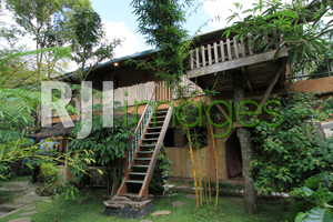 Kamar untuk rombongan Rimbono homestay