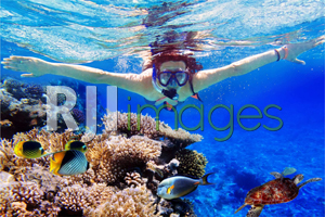 Sumber Baru Land goes to Majestic Banyuwangi