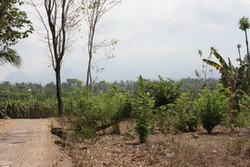 foto tanah pakem utara yogyakarta 