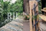 Vintage & Antique Jogja