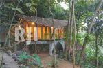 Bersatunya Rumah & Alam OLAH ROSO EKO PRAWOTO