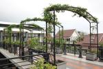 Inspirasi : Taman Vertikal