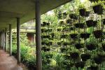 Inspirasi : Taman Vertikal