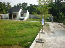 rumah aris balecatur