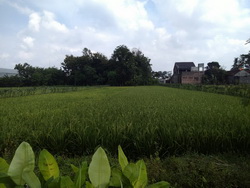 tanah ringroad utara